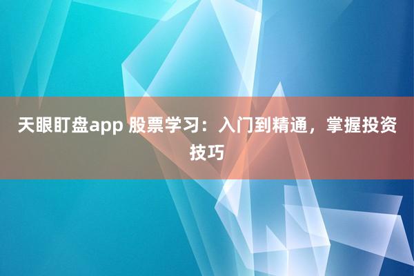 天眼盯盘app 股票学习：入门到精通，掌握投资技巧