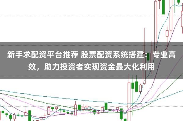 新手求配资平台推荐 股票配资系统搭建：专业高效，助力投资者实现资金最大化利用