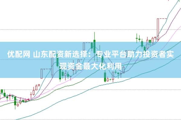 优配网 山东配资新选择：专业平台助力投资者实现资金最大化利用