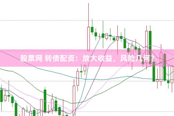 股票网 转债配资：放大收益，风险几何？