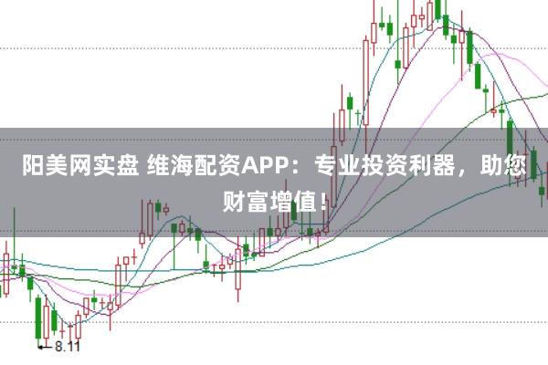 阳美网实盘 维海配资APP：专业投资利器，助您财富增值！