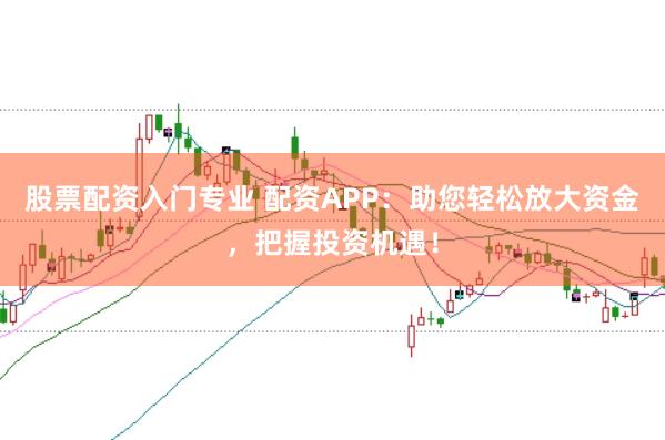股票配资入门专业 配资APP：助您轻松放大资金，把握投资机遇！