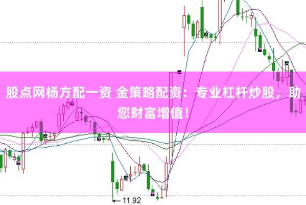 股点网杨方配一资 金策略配资：专业杠杆炒股，助您财富增值！