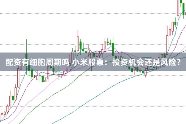 配资有细胞周期吗 小米股票：投资机会还是风险？