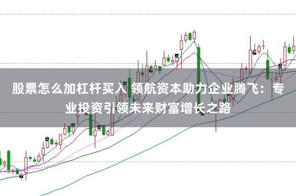 股票怎么加杠杆买入 领航资本助力企业腾飞：专业投资引领未来财富增长之路