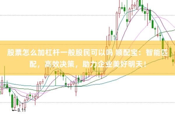 股票怎么加杠杆一般股民可以吗 顺配宝：智能匹配，高效决策，助力企业美好明天！