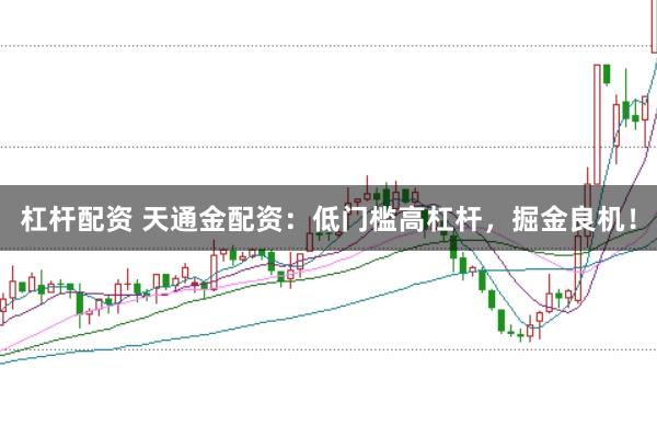 杠杆配资 天通金配资：低门槛高杠杆，掘金良机！
