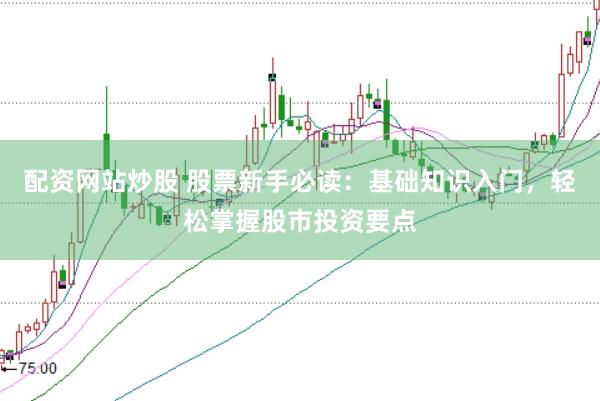 配资网站炒股 股票新手必读：基础知识入门，轻松掌握股市投资要点