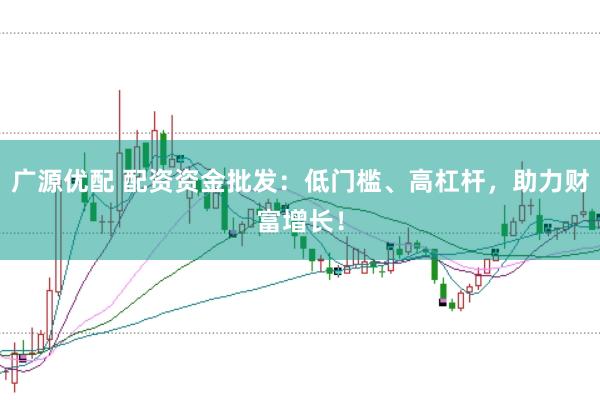 广源优配 配资资金批发：低门槛、高杠杆，助力财富增长！