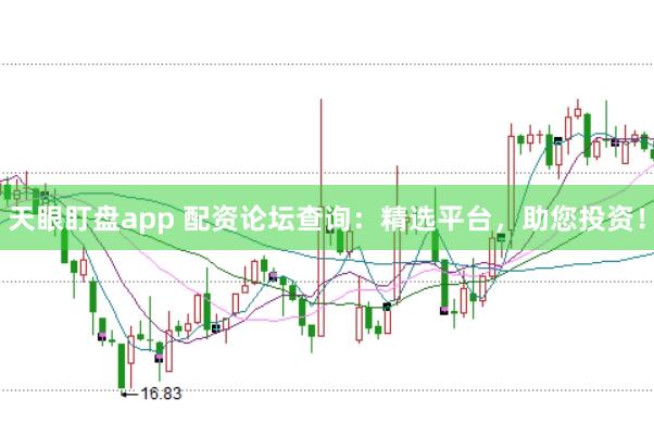 天眼盯盘app 配资论坛查询：精选平台，助您投资！