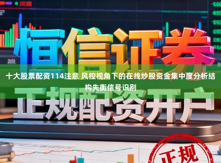 十大股票配资114注意 风控视角下的在线炒股资金集中度分析结构失衡信号识别
