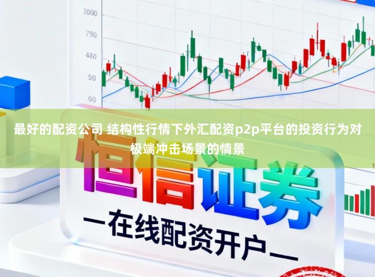 最好的配资公司 结构性行情下外汇配资p2p平台的投资行为对极端冲击场景的情景