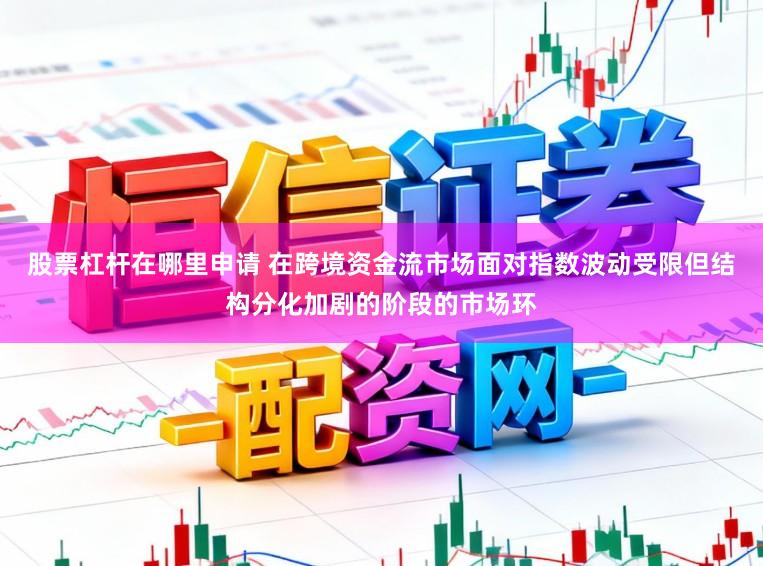 股票杠杆在哪里申请 在跨境资金流市场面对指数波动受限但结构分化加剧的阶段的市场环